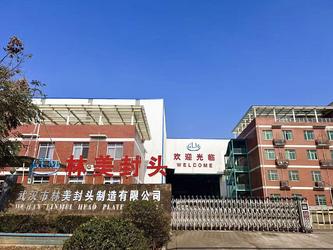 CHINA Wuhan Linmei Head Plate Co., Ltd.